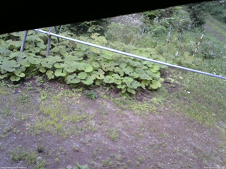 長野県菅平高原 ゆたか山荘 駐車場 2026/08/15 18:00