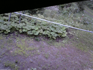 長野県菅平高原 ゆたか山荘 駐車場 2026/08/15 18:30