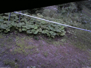 長野県菅平高原 ゆたか山荘 駐車場 2026/08/15 18:45