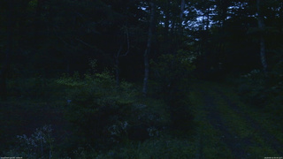 長野県菅平高原 ゆたか山荘 坂上 2026/08/15 05:00
