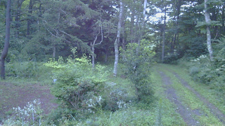長野県菅平高原 ゆたか山荘 坂上 2026/08/15 05:15