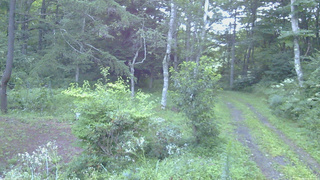 長野県菅平高原 ゆたか山荘 坂上 2026/08/15 05:30