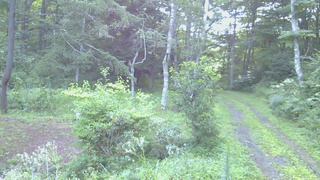 長野県菅平高原 ゆたか山荘 坂上 2026/08/15 05:45