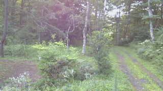 長野県菅平高原 ゆたか山荘 坂上 2026/08/15 06:00