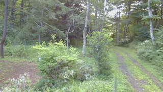 長野県菅平高原 ゆたか山荘 坂上 2026/08/15 06:15