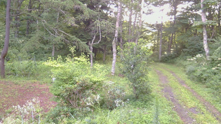 長野県菅平高原 ゆたか山荘 坂上 2026/08/15 06:30