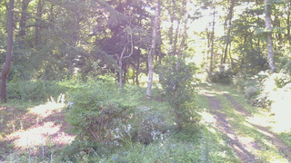 長野県菅平高原 ゆたか山荘 坂上 2026/08/15 06:45