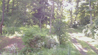 長野県菅平高原 ゆたか山荘 坂上 2026/08/15 07:00