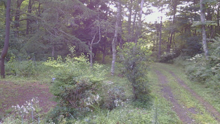 長野県菅平高原 ゆたか山荘 坂上 2026/08/15 07:15