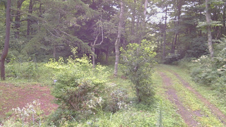 長野県菅平高原 ゆたか山荘 坂上 2026/08/15 07:30