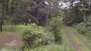 長野県菅平高原 ゆたか山荘 坂上 2026/08/15 07:45