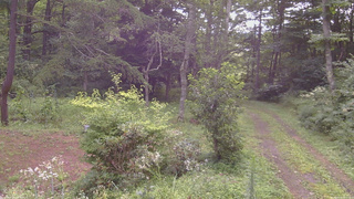 長野県菅平高原 ゆたか山荘 坂上 2026/08/15 08:00