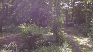 長野県菅平高原 ゆたか山荘 坂上 2026/08/15 08:15