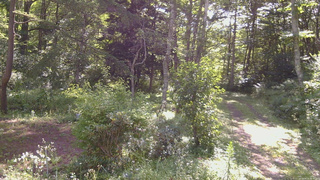 長野県菅平高原 ゆたか山荘 坂上 2026/08/15 08:30
