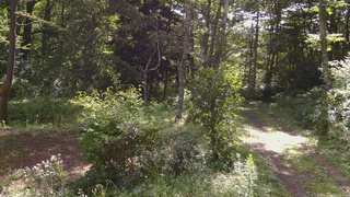 長野県菅平高原 ゆたか山荘 坂上 2026/08/15 08:45