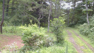 長野県菅平高原 ゆたか山荘 坂上 2026/08/15 09:00