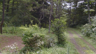 長野県菅平高原 ゆたか山荘 坂上 2026/08/15 09:15