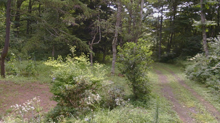 長野県菅平高原 ゆたか山荘 坂上 2026/08/15 09:45
