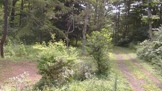 長野県菅平高原 ゆたか山荘 坂上 2026/08/15 10:00
