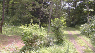 長野県菅平高原 ゆたか山荘 坂上 2026/08/15 10:15