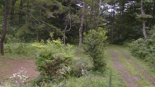 長野県菅平高原 ゆたか山荘 坂上 2026/08/15 10:30