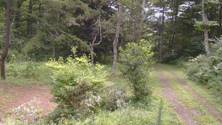 長野県菅平高原 ゆたか山荘 坂上 2026/08/15 10:45