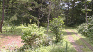 長野県菅平高原 ゆたか山荘 坂上 2026/08/15 11:00