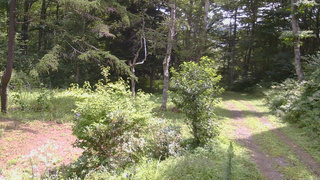長野県菅平高原 ゆたか山荘 坂上 2026/08/15 11:15