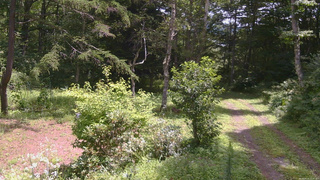 長野県菅平高原 ゆたか山荘 坂上 2026/08/15 11:30