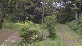 長野県菅平高原 ゆたか山荘 坂上 2026/08/15 11:45