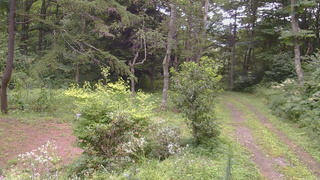 長野県菅平高原 ゆたか山荘 坂上 2026/08/15 12:00
