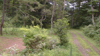 長野県菅平高原 ゆたか山荘 坂上 2026/08/15 12:15