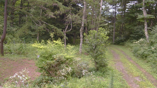 長野県菅平高原 ゆたか山荘 坂上 2026/08/15 12:30