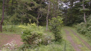 長野県菅平高原 ゆたか山荘 坂上 2026/08/15 12:45
