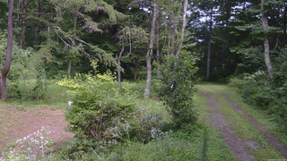 長野県菅平高原 ゆたか山荘 坂上 2026/08/15 13:15