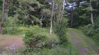 長野県菅平高原 ゆたか山荘 坂上 2026/08/15 14:15