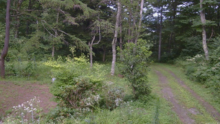 長野県菅平高原 ゆたか山荘 坂上 2026/08/15 14:30