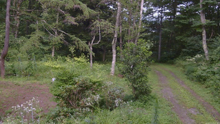 長野県菅平高原 ゆたか山荘 坂上 2026/08/15 14:45