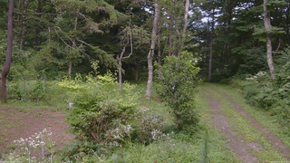 長野県菅平高原 ゆたか山荘 坂上 2026/08/15 15:00