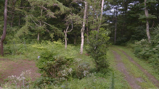 長野県菅平高原 ゆたか山荘 坂上 2026/08/15 15:15