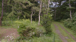 長野県菅平高原 ゆたか山荘 坂上 2026/08/15 15:30