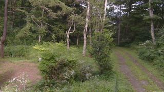 長野県菅平高原 ゆたか山荘 坂上 2026/08/15 15:45
