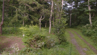 長野県菅平高原 ゆたか山荘 坂上 2026/08/15 16:00