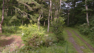 長野県菅平高原 ゆたか山荘 坂上 2026/08/15 16:15