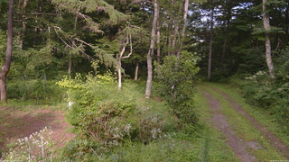 長野県菅平高原 ゆたか山荘 坂上 2026/08/15 16:30