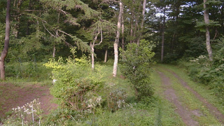 長野県菅平高原 ゆたか山荘 坂上 2026/08/15 16:45