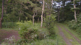 長野県菅平高原 ゆたか山荘 坂上 2026/08/15 17:00