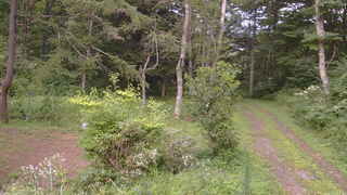 長野県菅平高原 ゆたか山荘 坂上 2026/08/15 17:15