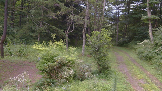 長野県菅平高原 ゆたか山荘 坂上 2026/08/15 17:45