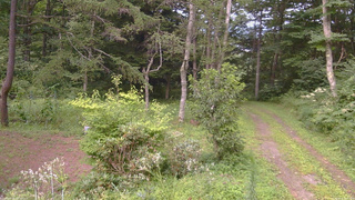 長野県菅平高原 ゆたか山荘 坂上 2026/08/15 18:00